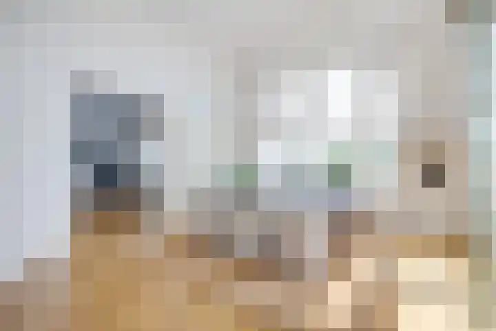 Hugo Clausstraat 28 Voorschoten thumbnail 27