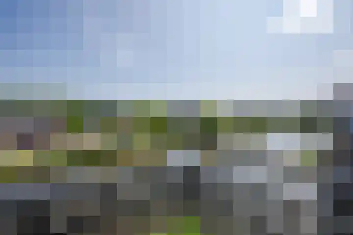 Hugo Clausstraat 28 Voorschoten thumbnail 33