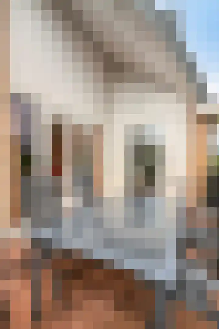 Hugo Clausstraat 54 Voorschoten thumbnail 29