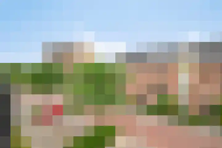 Hugo Clausstraat 54 Voorschoten thumbnail 33