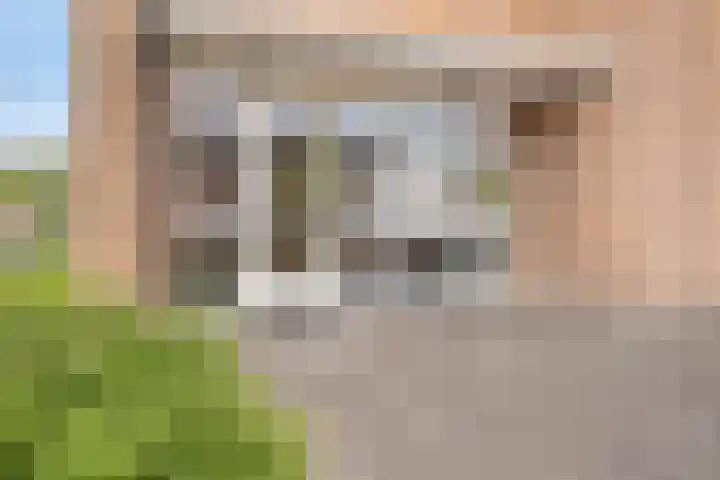 Hugo Clausstraat 54 Voorschoten thumbnail 7