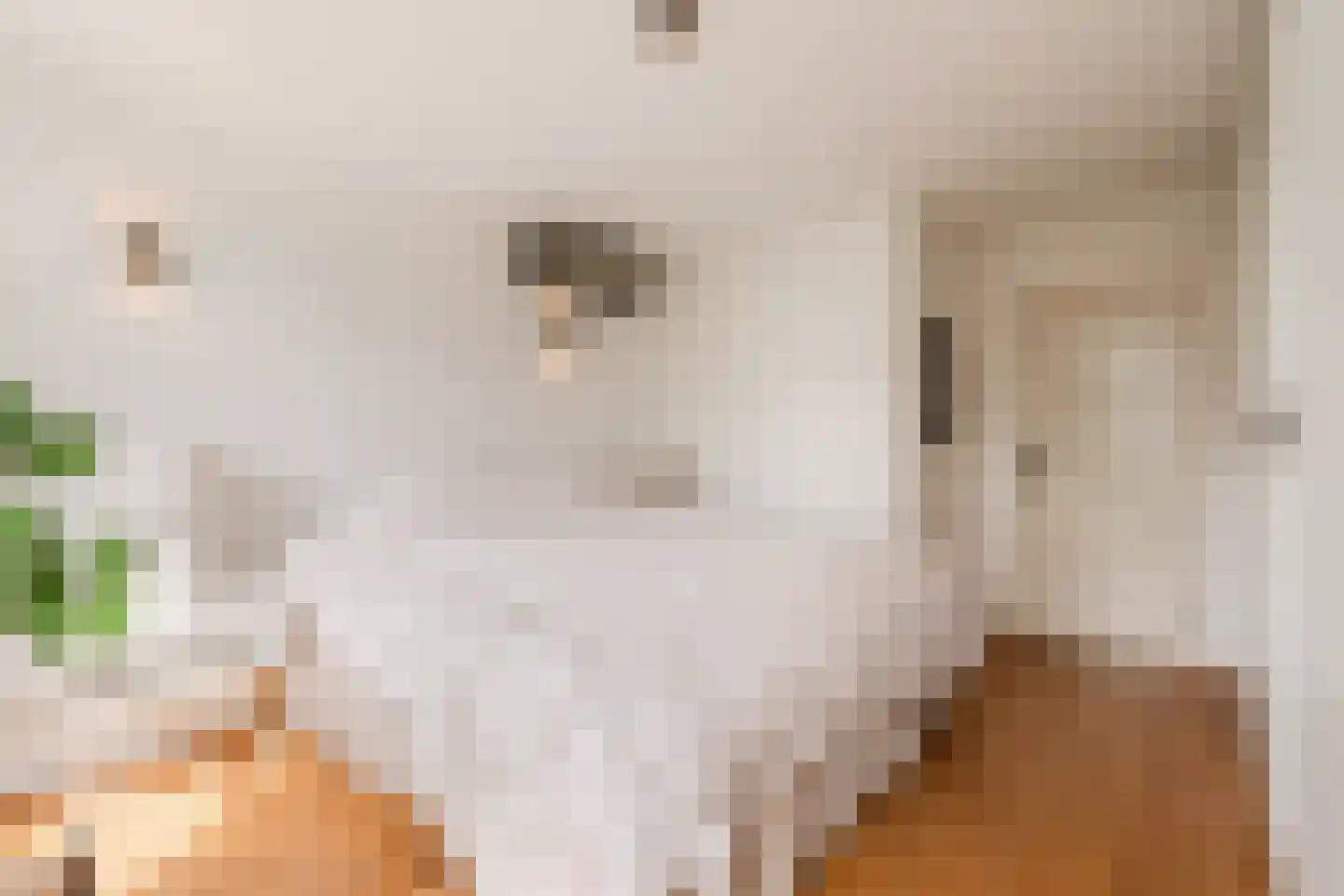 Hugo de Grootkade 14 1 Amsterdam thumbnail 15