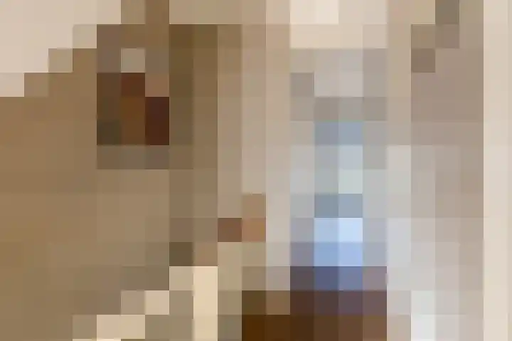 Hugo de Grootkade 36 1 Amsterdam thumbnail 17