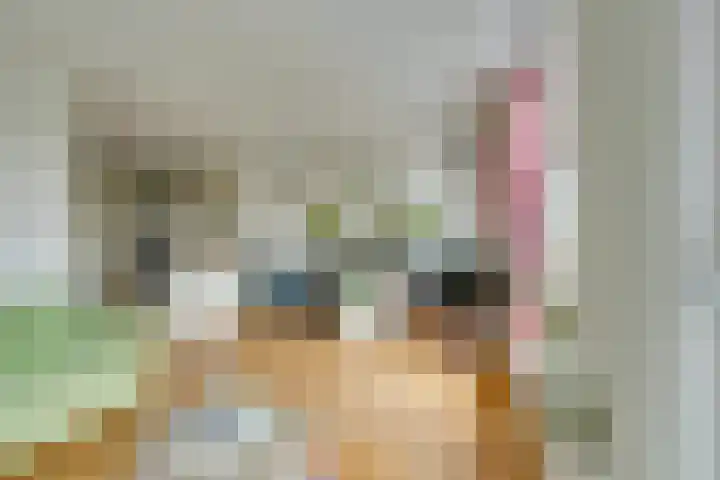 Hugo de Grootkade 40 O Amsterdam thumbnail 13