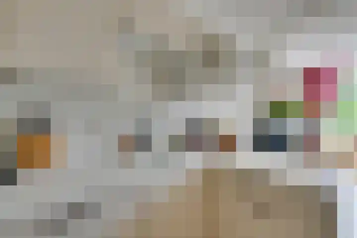 Hugo de Grootkade 40 O Amsterdam thumbnail 18
