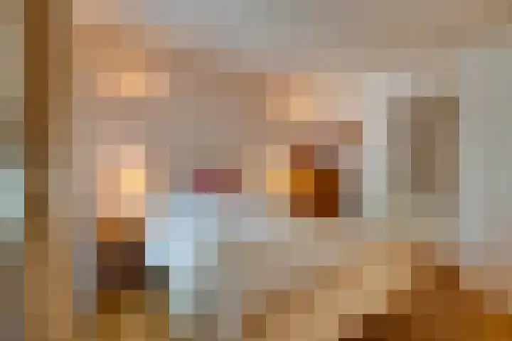 Hugo de Grootkade 40 O Amsterdam thumbnail 21