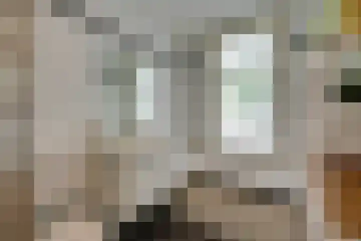 Hugo de Grootkade 40 O Amsterdam thumbnail 25