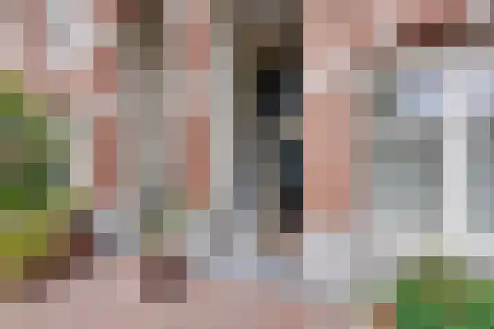 Hugo de Grootkade 40 O Amsterdam thumbnail 6