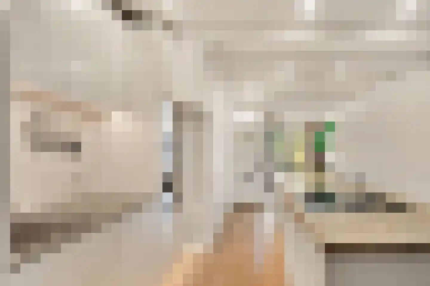 Hugo de Grootkade 42 H Amsterdam thumbnail 10
