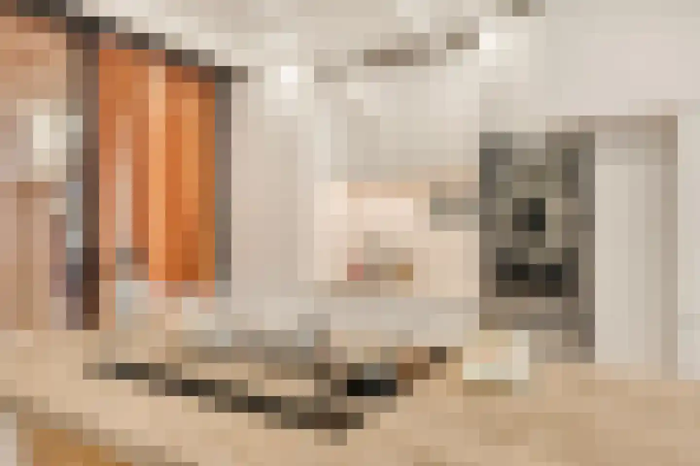 Hugo de Grootkade 42 H Amsterdam thumbnail 18