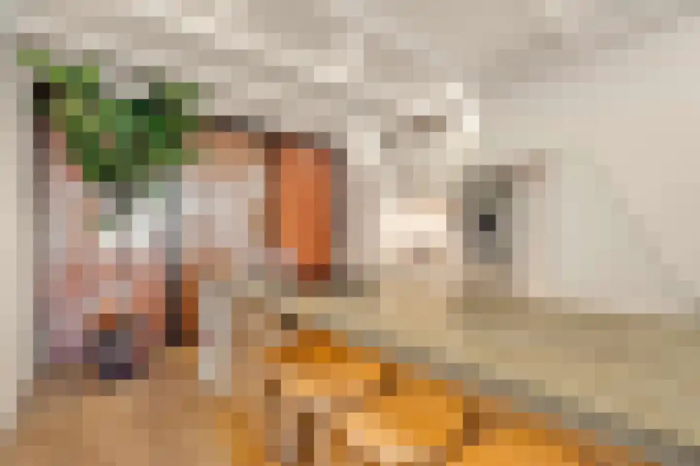 Hugo de Grootkade 42 H Amsterdam thumbnail 4