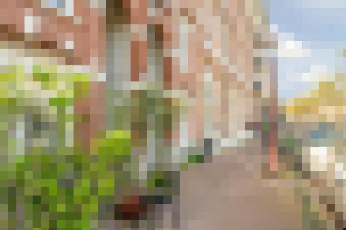 Hugo de Grootkade 42 H Amsterdam thumbnail 40