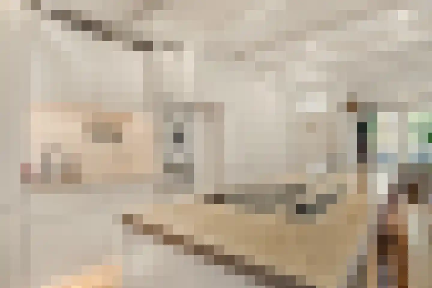 Hugo de Grootkade 42 H Amsterdam thumbnail 9