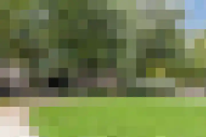 Hugo de Grootkade 48 H Amsterdam thumbnail 32