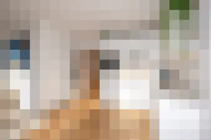 Hugo de Grootkade 50 3 Amsterdam thumbnail 15