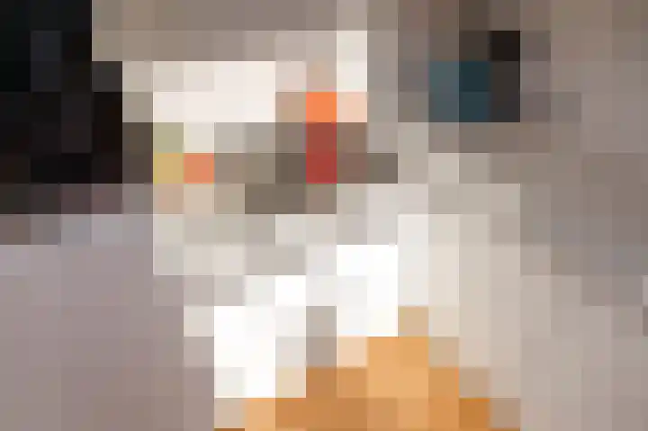 Hugo de Grootkade 50 3 Amsterdam thumbnail 16