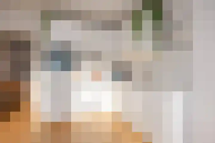 Hugo de Grootkade 50 3 Amsterdam thumbnail 7