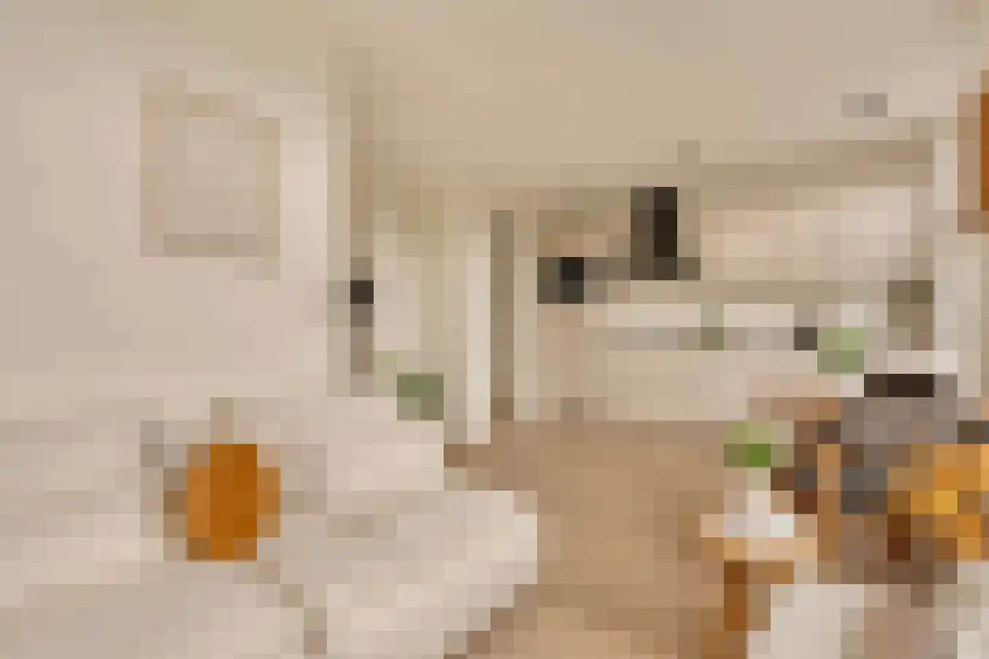Hugo de Grootkade 52 3 Amsterdam thumbnail 6