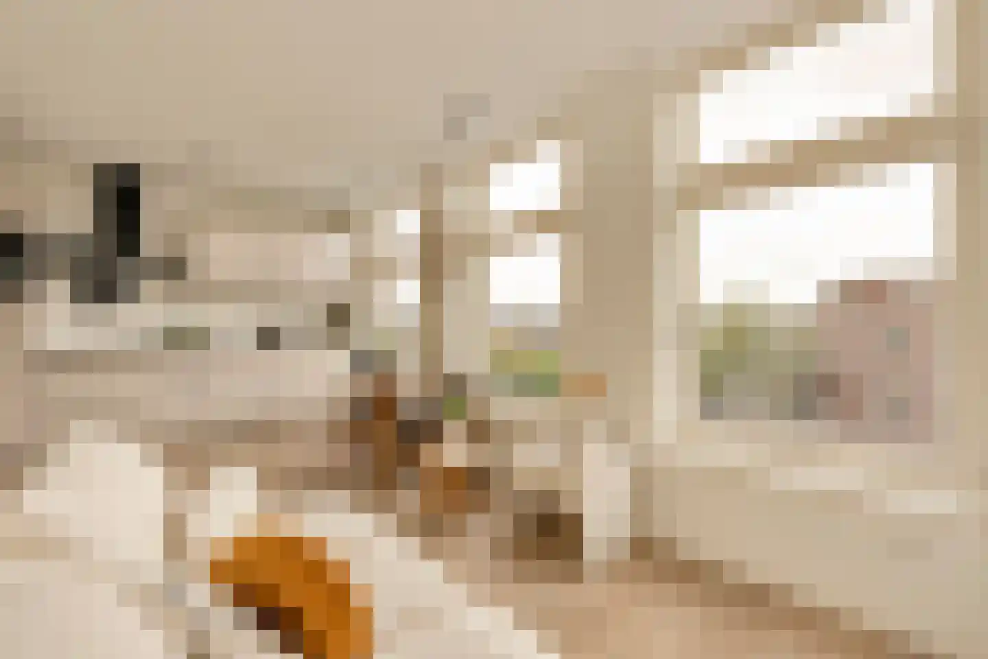 Hugo de Grootkade 52 3 Amsterdam thumbnail 7