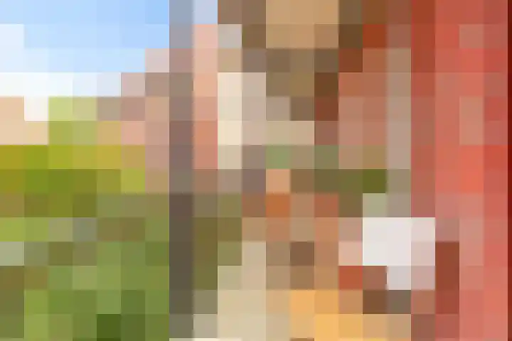 Hugo de Grootkade 66 C Amsterdam thumbnail 30
