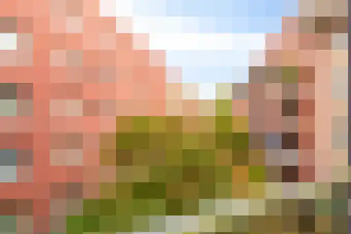 Hugo de Grootkade 66 C Amsterdam thumbnail 36
