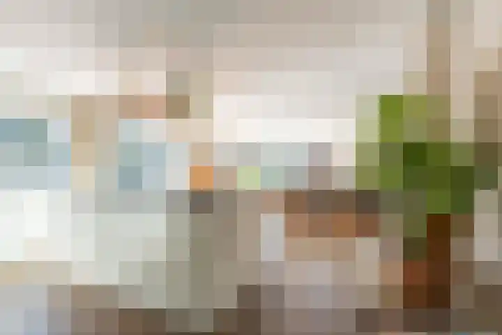 Hugo de Grootkade 76 W Amsterdam thumbnail 10