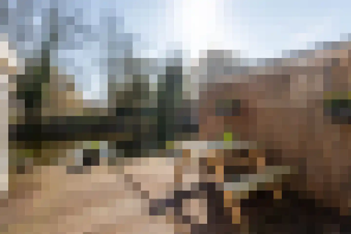 Hugo de Grootkade 76 W Amsterdam thumbnail 20