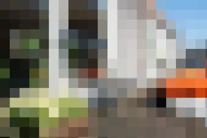 Hugo de Grootkade 76 W Amsterdam thumbnail 37