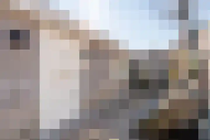 Hugo de Grootkade 76 W Amsterdam thumbnail 5