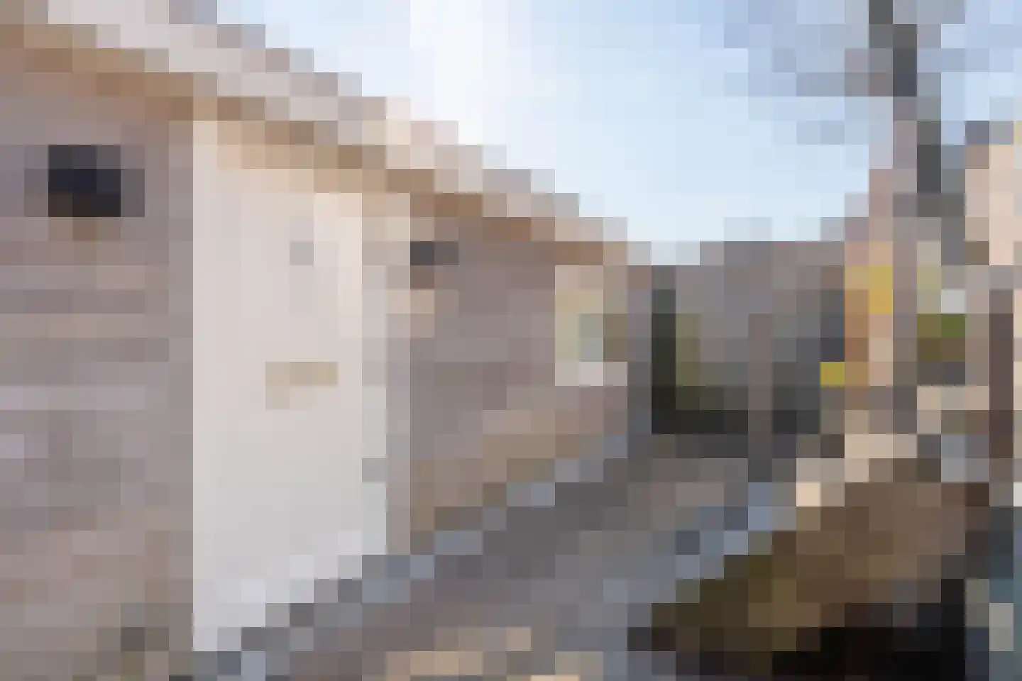 Hugo de Grootkade 76 W Amsterdam thumbnail 5
