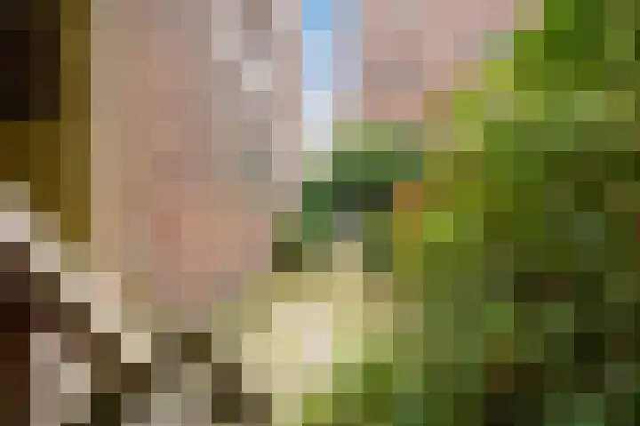 Hugo de Grootkade 78 3 Amsterdam thumbnail 14