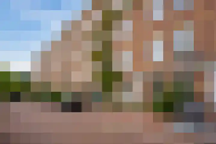 Hugo de Grootkade 78 3 Amsterdam thumbnail 18
