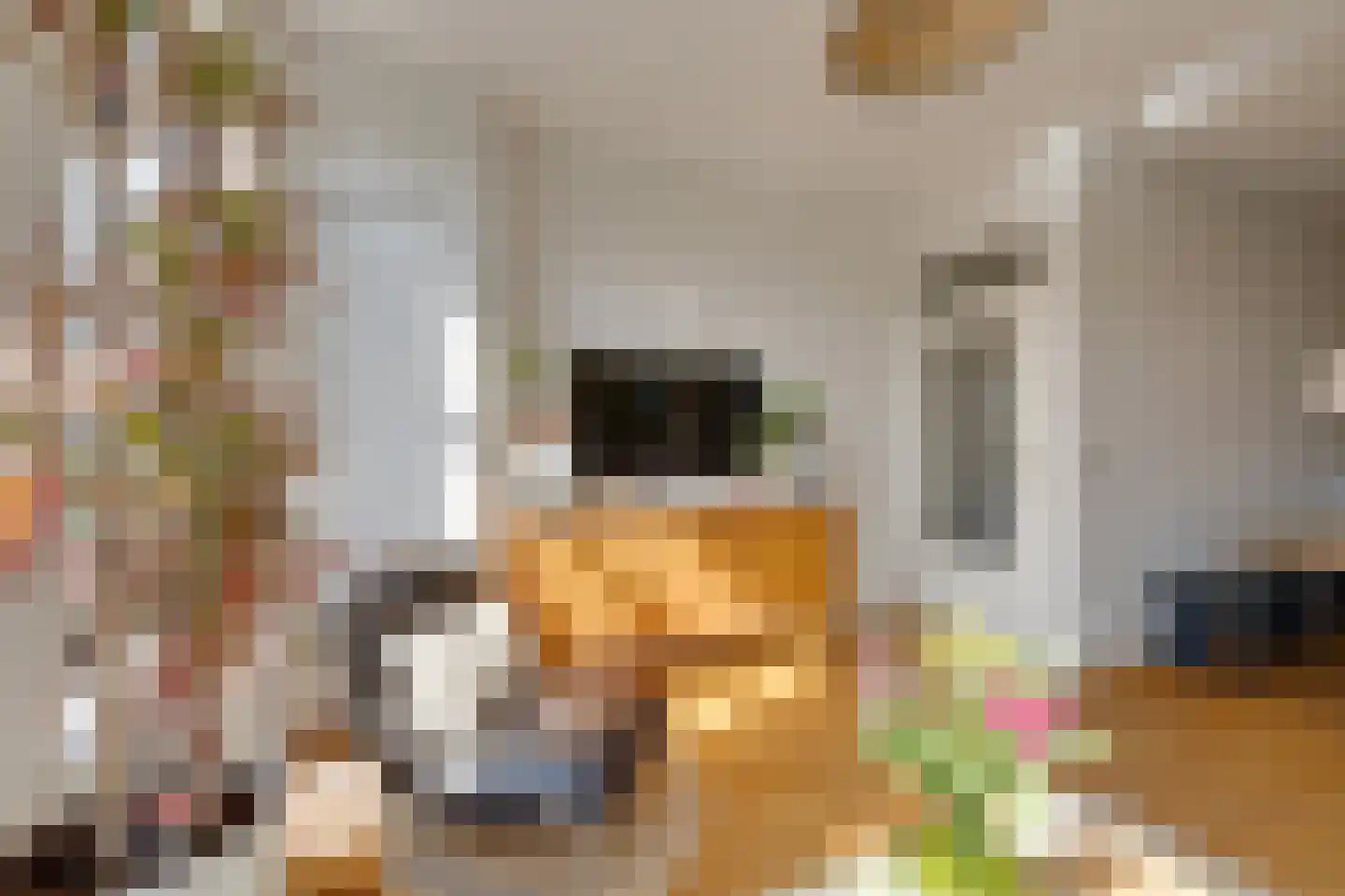 Hugo de Grootkade 80 3 Amsterdam thumbnail 16