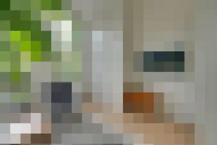 Hugo de Grootkade 84 1 Amsterdam thumbnail 11