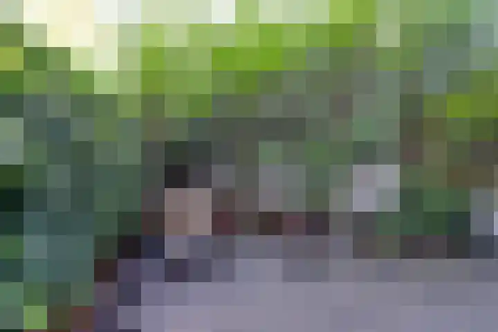 Hugo de Grootkade 84 1 Amsterdam thumbnail 34