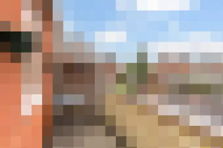 Hugo de Grootlaan 1 A Dordrecht thumbnail 14