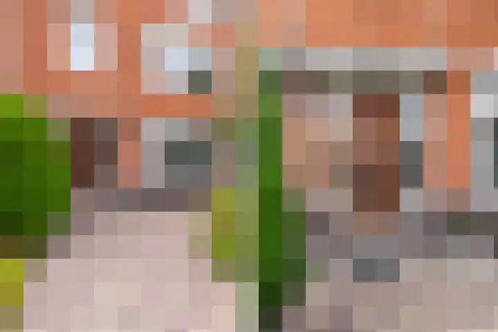 Hugo de Grootlaan 1 A Dordrecht thumbnail 4