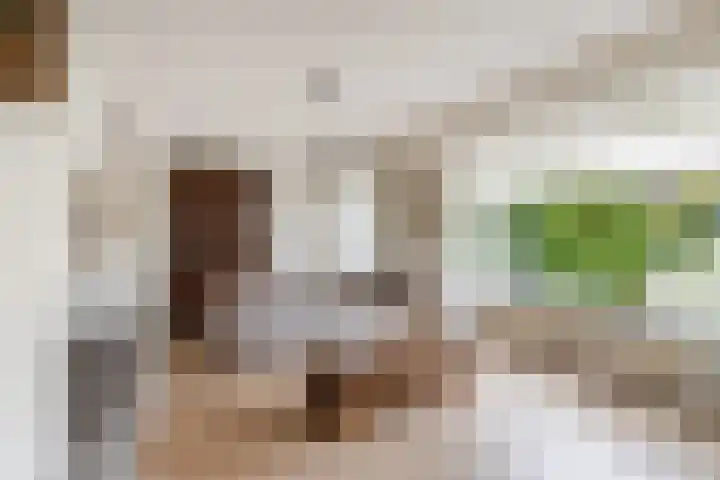 Hugo de Grootlaan 1 A Dordrecht thumbnail 5