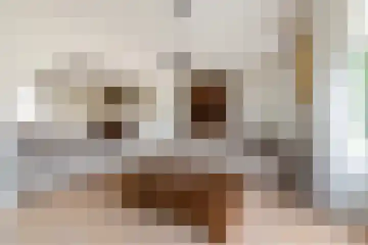 Hugo de Grootlaan 1 A Dordrecht thumbnail 6