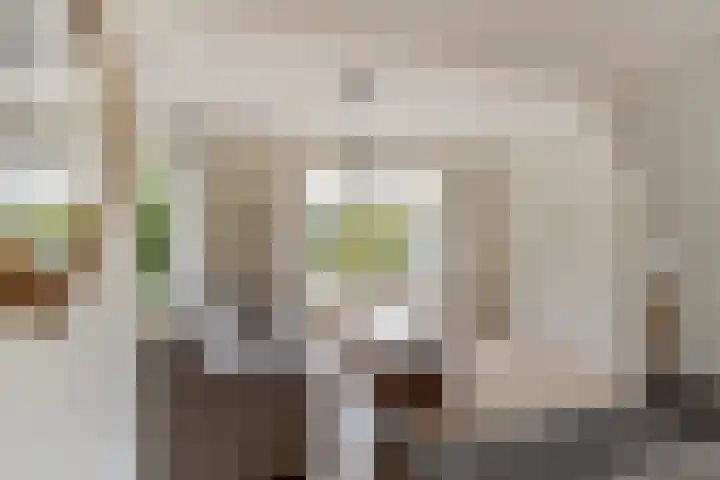 Hugo de Grootlaan 1 A Dordrecht thumbnail 9