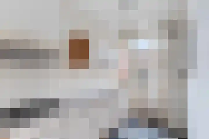 Hugo de Grootlaan 1 Dordrecht thumbnail 14