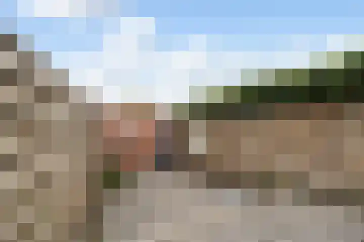 Hugo de Grootlaan 1 Dordrecht thumbnail 25