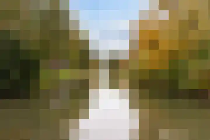 Hugo de Grootlaan 1 Dordrecht thumbnail 36