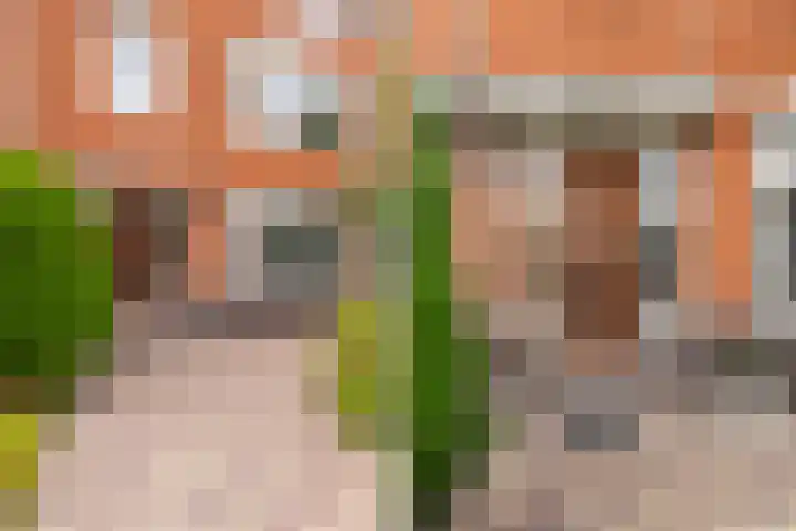 Hugo de Grootlaan 1 Dordrecht thumbnail 4