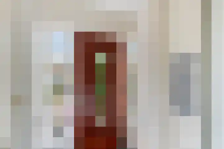 Hugo de Grootlaan 1 Dordrecht thumbnail 5