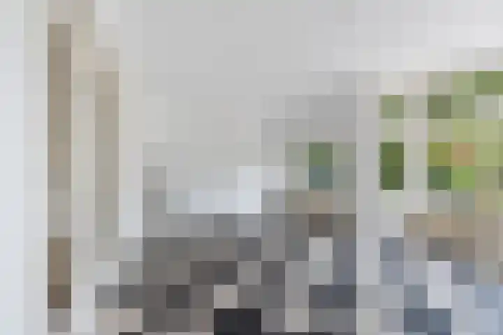 Hugo de Grootlaan 1 Dordrecht thumbnail 7