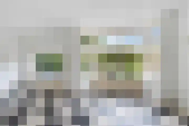 Hugo de Grootlaan 1 Dordrecht thumbnail 8