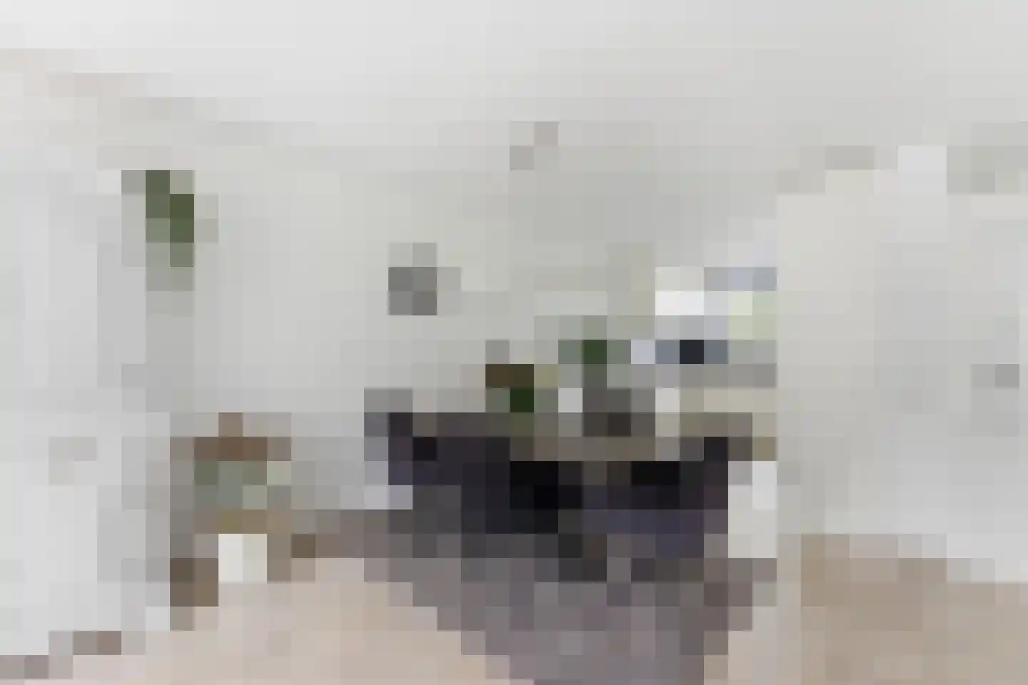 Hugo de Grootlaan 1 Ridderkerk thumbnail 10