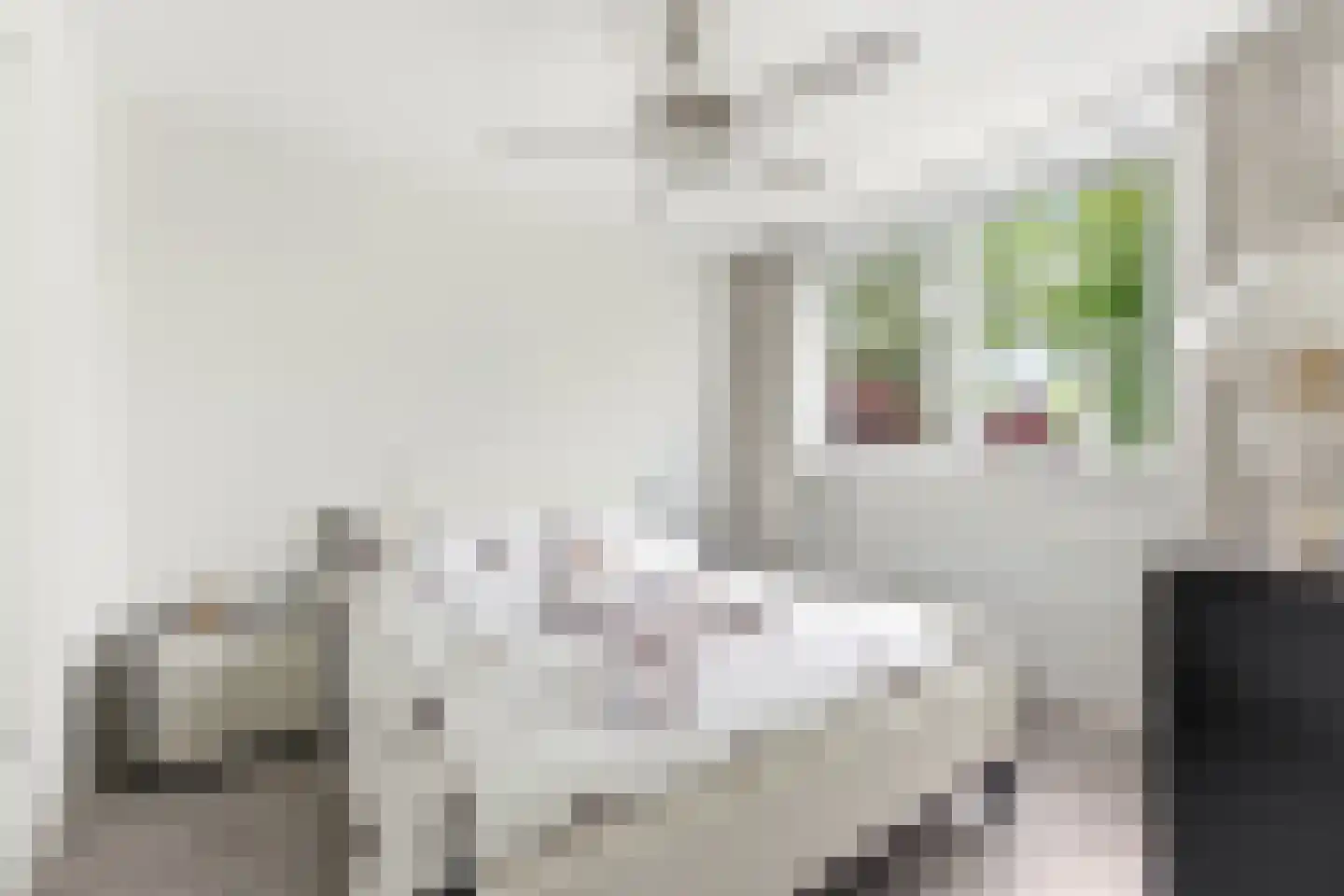 Hugo de Grootlaan 1 Ridderkerk thumbnail 20