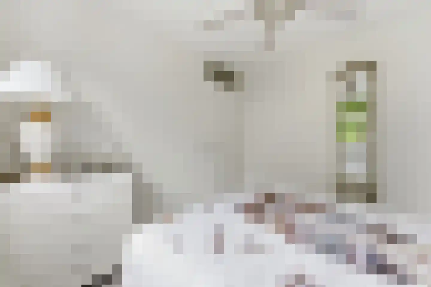 Hugo de Grootlaan 1 Ridderkerk thumbnail 21